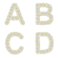 Alphabet made of flowers isolated. Letter. Flower font concept. ABCD with flowers frangipani or plumeria png