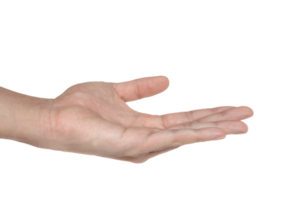 Empty hand isolated with clipping path png