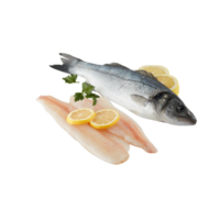 Sea bass and fresh fish fillets cut out isolated transparent background png