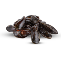 Fresco mejillones cortar fuera aislado transparente antecedentes png