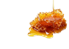 Honeycomb with honey drop isolated on transparent background, created with generative AI png