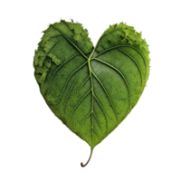 verde corazón forma hoja aislado en transparente fondo, creado con generativo ai png