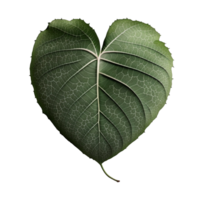 Green heart shape leaf isolated on transparent background, created with generative AI png