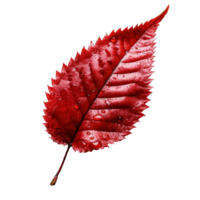 Red leaf isolated on transparent background, created with generative AI png