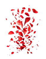 Red rose petaly flying in the air isolated on transparent background, created with generative AI png