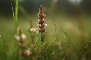 Meadow flowers, created with generative AI photo