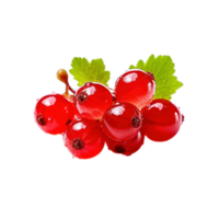 Red currant isolated on transparent background, created with generative AI png