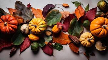 Top View of Thanksgiving day banner design of a collection of pumpkins and other vegetables, photo