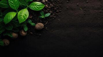 Earth Day concept design of plants, plant seeds and miniature earth for banner background, AI Generative photo