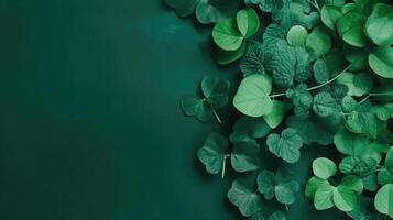 Top View of st patricks banner concept design of green hat and green leaves on green pastel background, photo