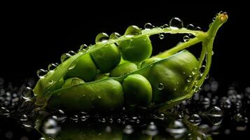 Fresh Green Pea hit by splashes of water with black blur background, AI Generative photo