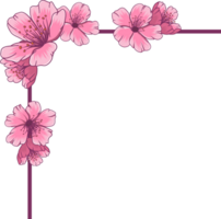 Sakura Blumen. handgemalt Abbildungen png