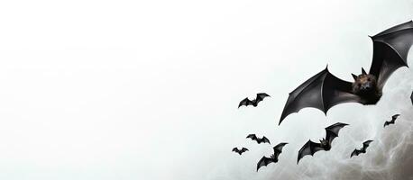 Photo of bats flying through the night sky with copy space