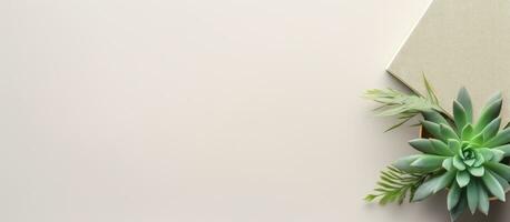 Photo of a green plant sitting on top of a white wall with plenty of copy space with copy space