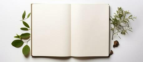 Photo of an open notebook with a plant on top, perfect for jotting down ideas and inspiration with copy space