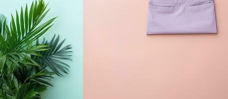 Photo of a potted plant against a vibrant pink and blue wall with empty space for text or design with copy space