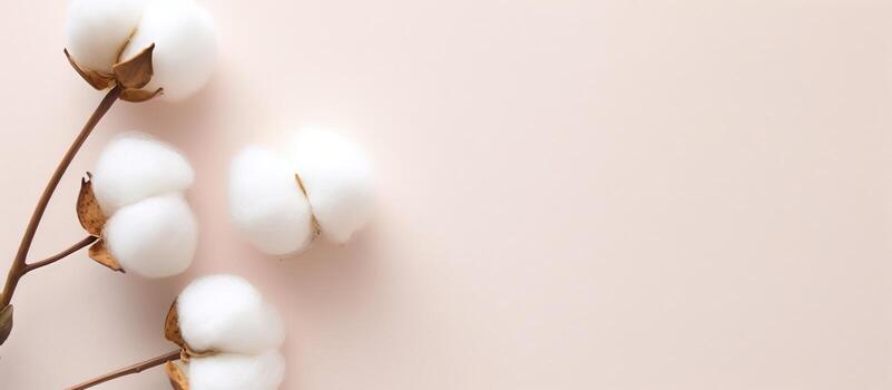 Photo of a pink background with a branch of cotton, perfect for adding your own content with copy space