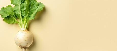 Photo of a vibrant radish on a textured wall, showcasing the beauty of natures colors and textures with copy space