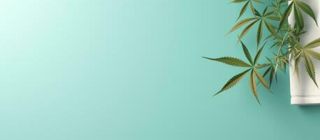 Photo of a bamboo plant sitting on a modern white towel rack with ample copy space with copy space