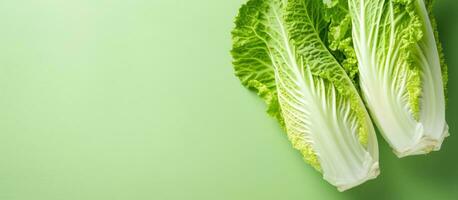 Photo of two fresh lettuce leaves on a vibrant green backdrop with plenty of space for text or graphics with copy space