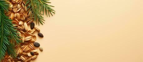 Photo of a pine tree branch with nuts and pine cones with copy space