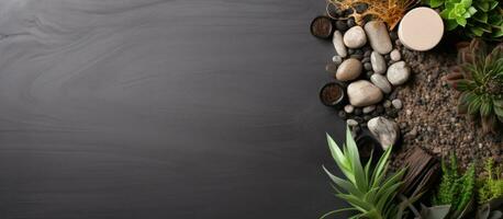 Photo of rocks and plants on a black background with copy space with copy space