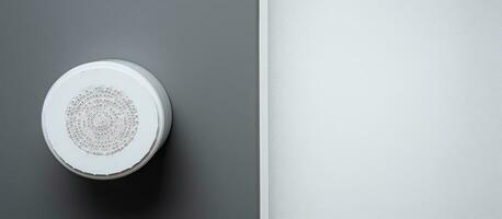 Photo of a minimalist bathroom with a white toilet and a gray wall with copy space