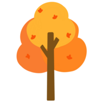 maple tree orange with leaves png