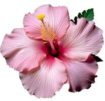ai generativo de cerca detalle de un rosado hibisco flor pétalos y estigma en jardín foto