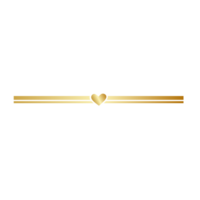 Aesthetic golden line png