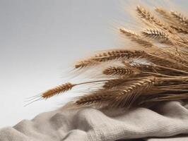 comercial minimalistic boho composition with copy space photo