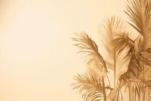 Summer vacation composition with copy space photo
