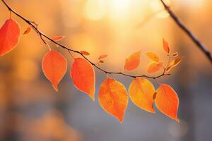 autumn composition with copy space AI Generative photo