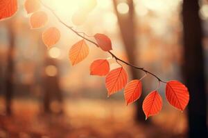 autumn composition with copy space AI Generative photo