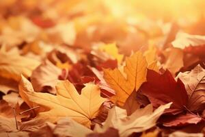 autumn composition with copy space AI Generative photo