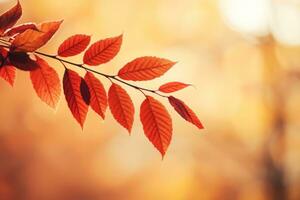 autumn composition with copy space AI Generative photo