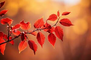 otoño composición con Copiar espacio ai generativo foto