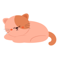 carino cartone animato gatto. carino animale per bambini icona png