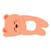 mano disegno carino cartone animato orso addormentato png