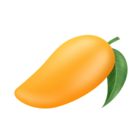 Ripe yellow mango have stems and leaves attached, side view on transparent background png