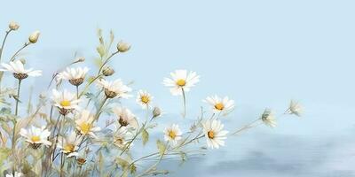 AI Generated. AI Generative. Outdoor nature wild flowers chamomile daisy plant herbal landscape. Graphic Art photo