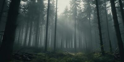 ai generado. ai generativo. niebla magia niebla noche oscuro bosque árbol selva paisaje antecedentes. de miedo naturaleza al aire libre aventuras explorar viaje ambiente estilo. gráfico Arte foto