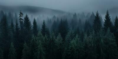 AI Generated. AI Generative. Mist magic fog night dark forest tree jungle landscape background. Scary nature outdoor adventure explore travel vibe style. Graphic Art photo