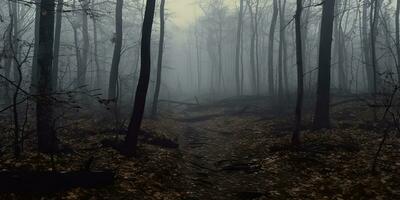 ai generado. ai generativo. niebla magia niebla noche oscuro bosque árbol selva paisaje antecedentes. de miedo naturaleza al aire libre aventuras explorar viaje ambiente estilo. gráfico Arte foto