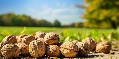 AI Generated. AI Generative. Healthy food nutrition nut walnut half open and in shell. Can be used for healthy lifestyle motivation inspiration. Graphic Art photo