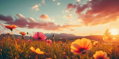 ai generado. ai generativo. naturaleza al aire libre paisaje campo de flores a puesta de sol amanecer. florecer floración botánico planta aventuras vacaciones salvaje vida. gráfico Arte foto