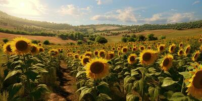 ai generado. ai generativo. girasoles campo a soleado día. naturaleza al aire libre wil explorar granja cosecha día onda. gráfico Arte foto