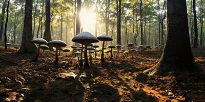 ai generado. ai generativo. al aire libre naturaleza salvaje paisaje bosque explorar viaje aventuras con hongos encontrar en suelo. gráfico Arte foto