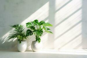 Potted green plants with white wall on the background. Sun rays. Houseplants. Generative AI photo