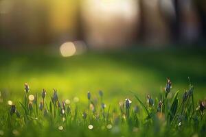 Neatly trimmed lawn on blurred spring background. Ground level view. Generative AI photo